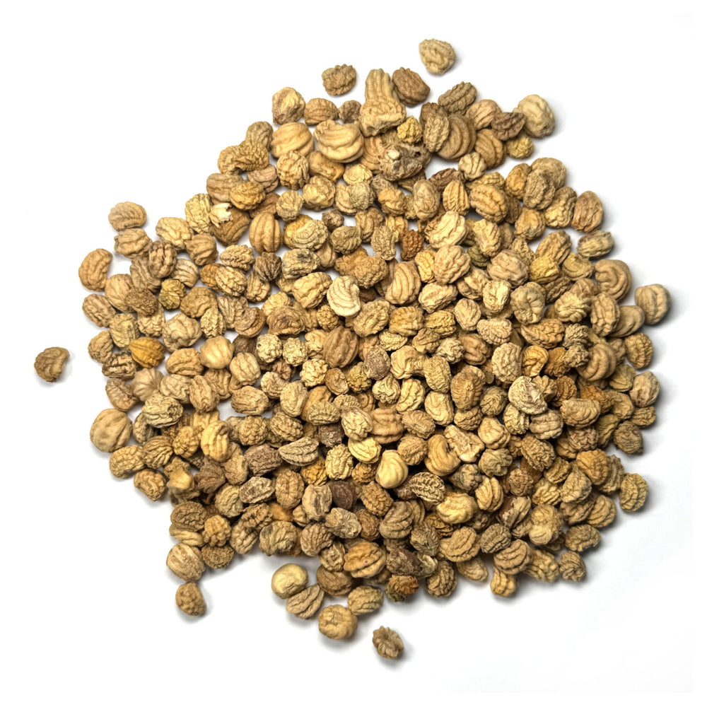 Seed Needs Nasturtium Double Gleam trailing blooms for beds or baskets.