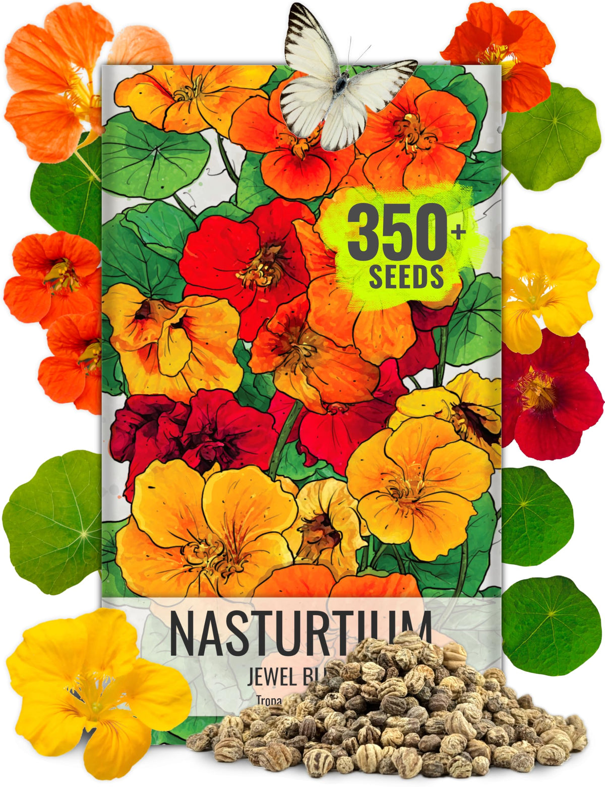 Seed Needs Jewel Mix nasturtium flowers in bloom for edible salads