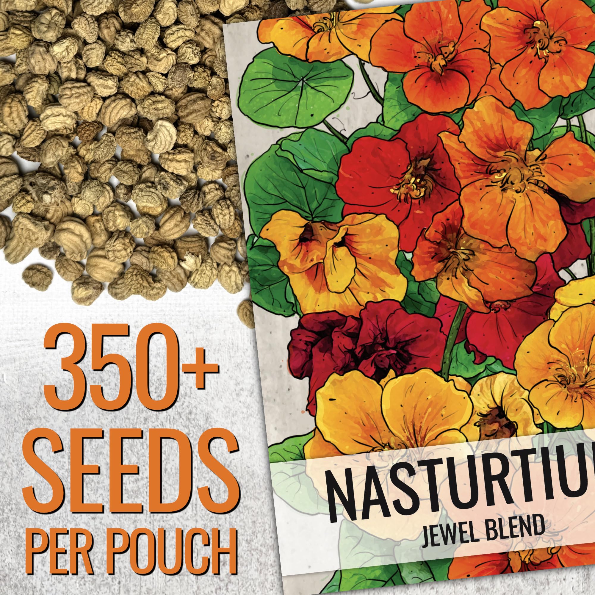 Seed Needs Jewel Mix in a compact pot for space-saving color