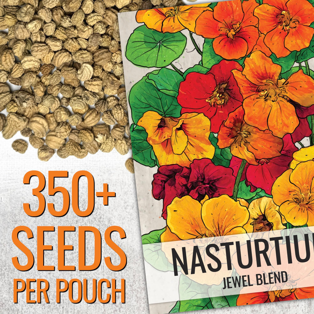 Seed Needs Jewel Mix in a compact pot for space-saving color