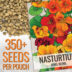 Seed Needs Jewel Mix in a compact pot for space-saving color