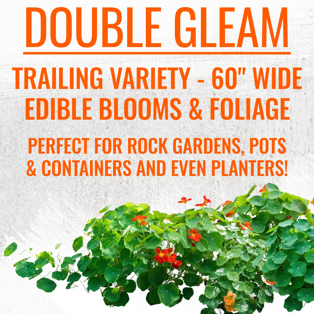 Seed Needs nasturtiums help with pest-repellent companion planting strategies
