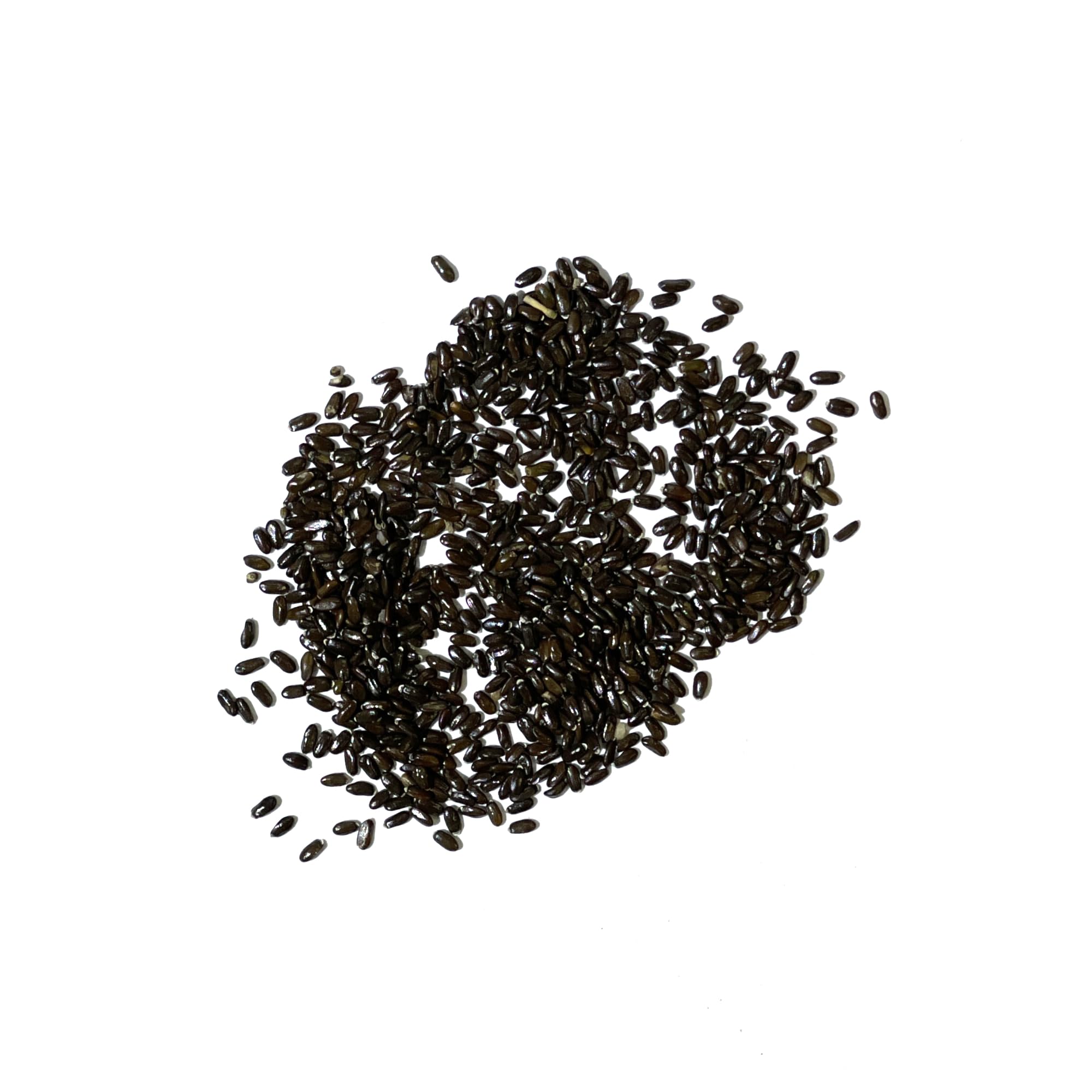 Seed Needs non-GMO untreated seeds ensure pure planting material