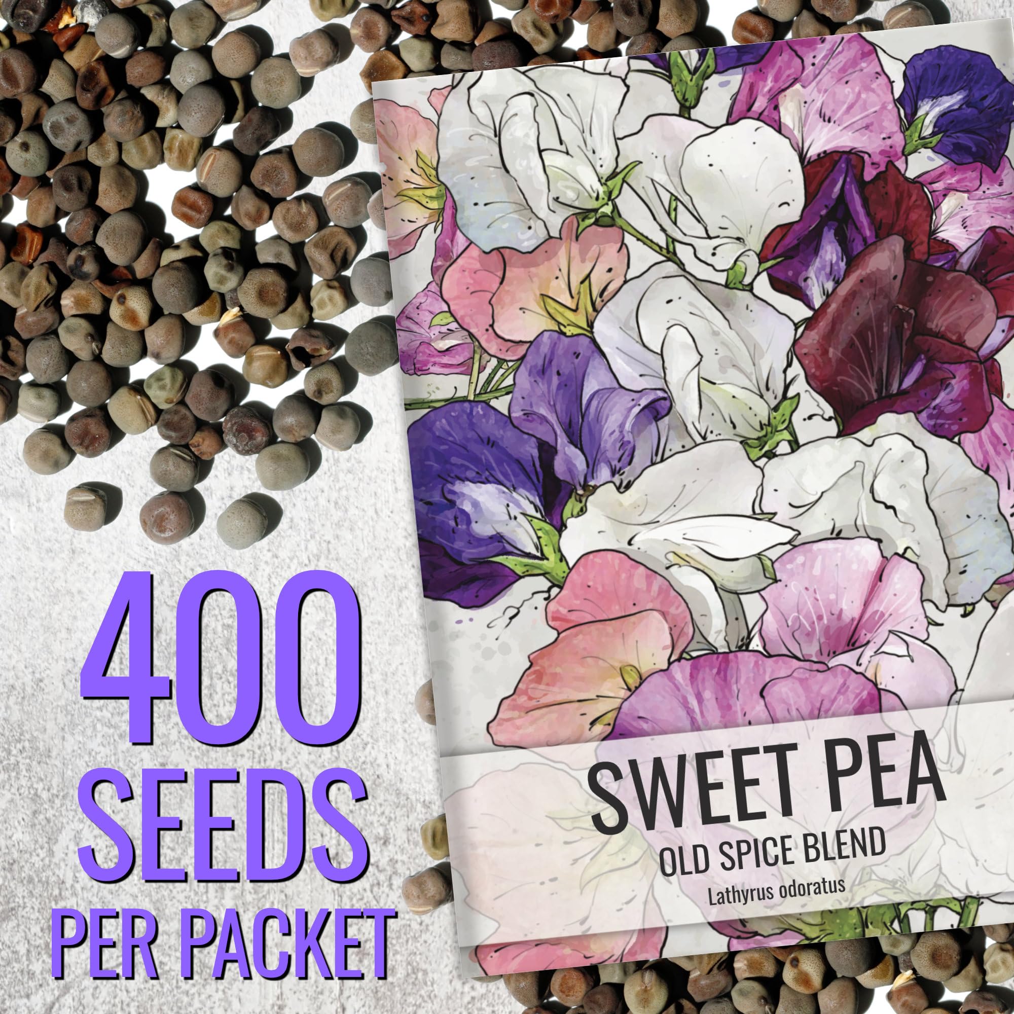Seed Needs Old Spice Sweet Peas climbing habit on trellis