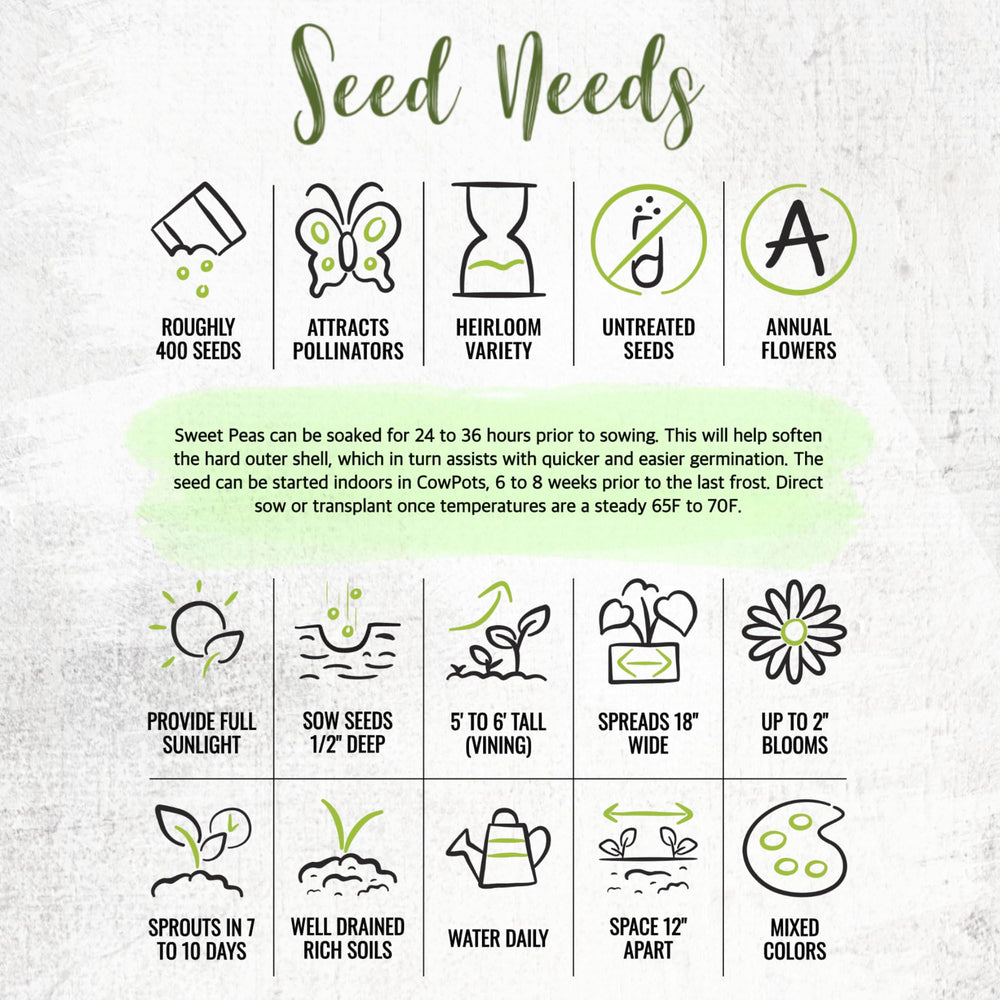 Seed Needs Old Spice Sweet Peas direct-from-growers germination guidance