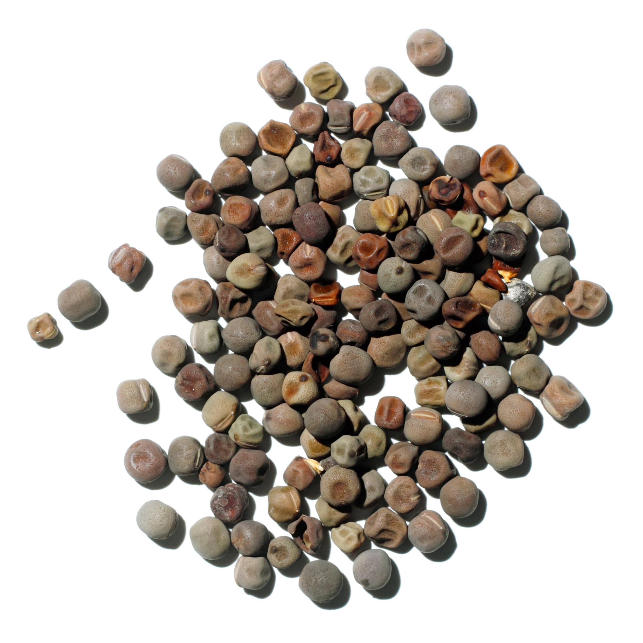 Seed Needs Old Spice Sweet Peas resealable packaging preserves freshness