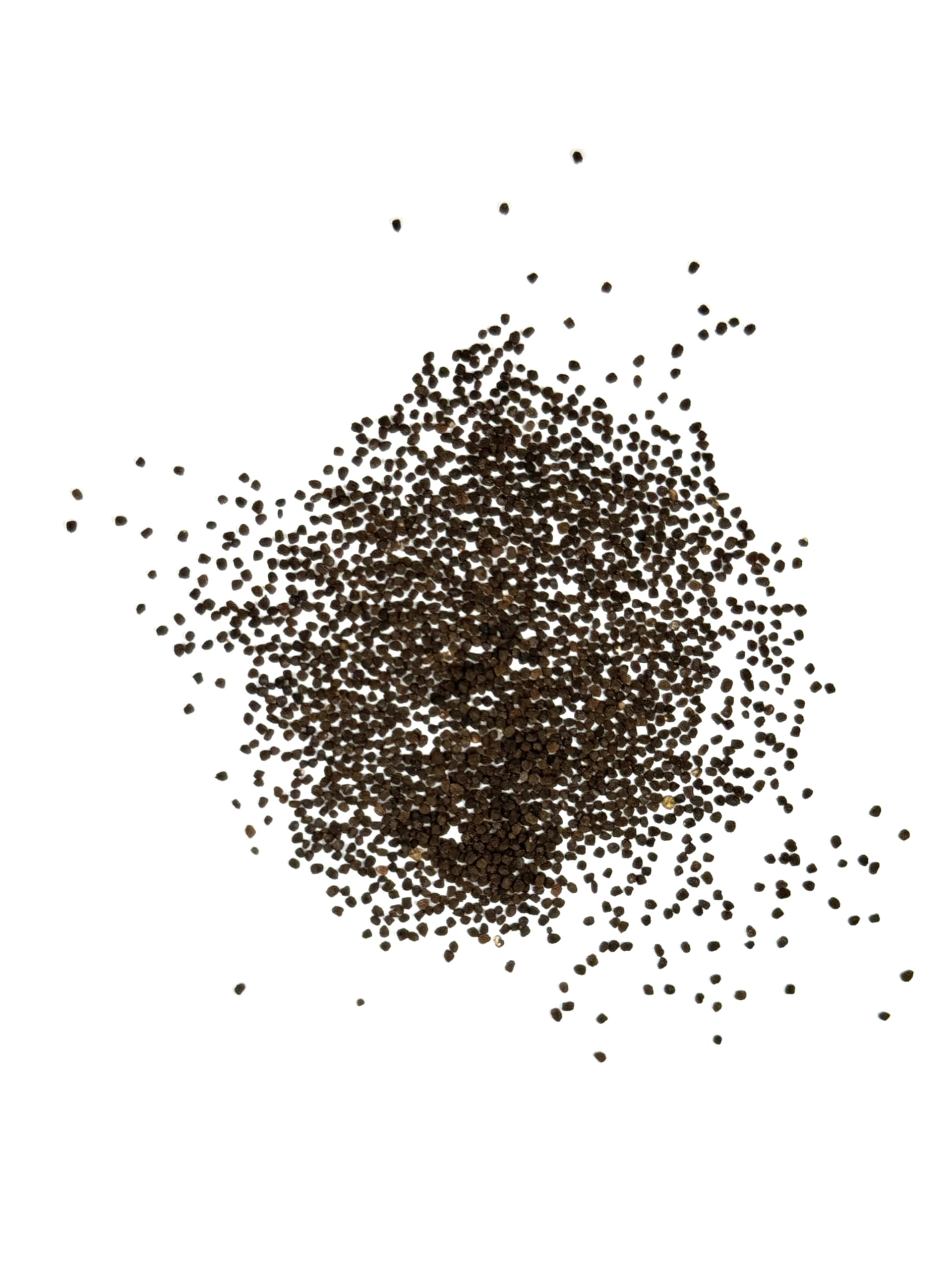 Seed Needs open-pollinated heirloom seeds for diverse pollinator gardens.