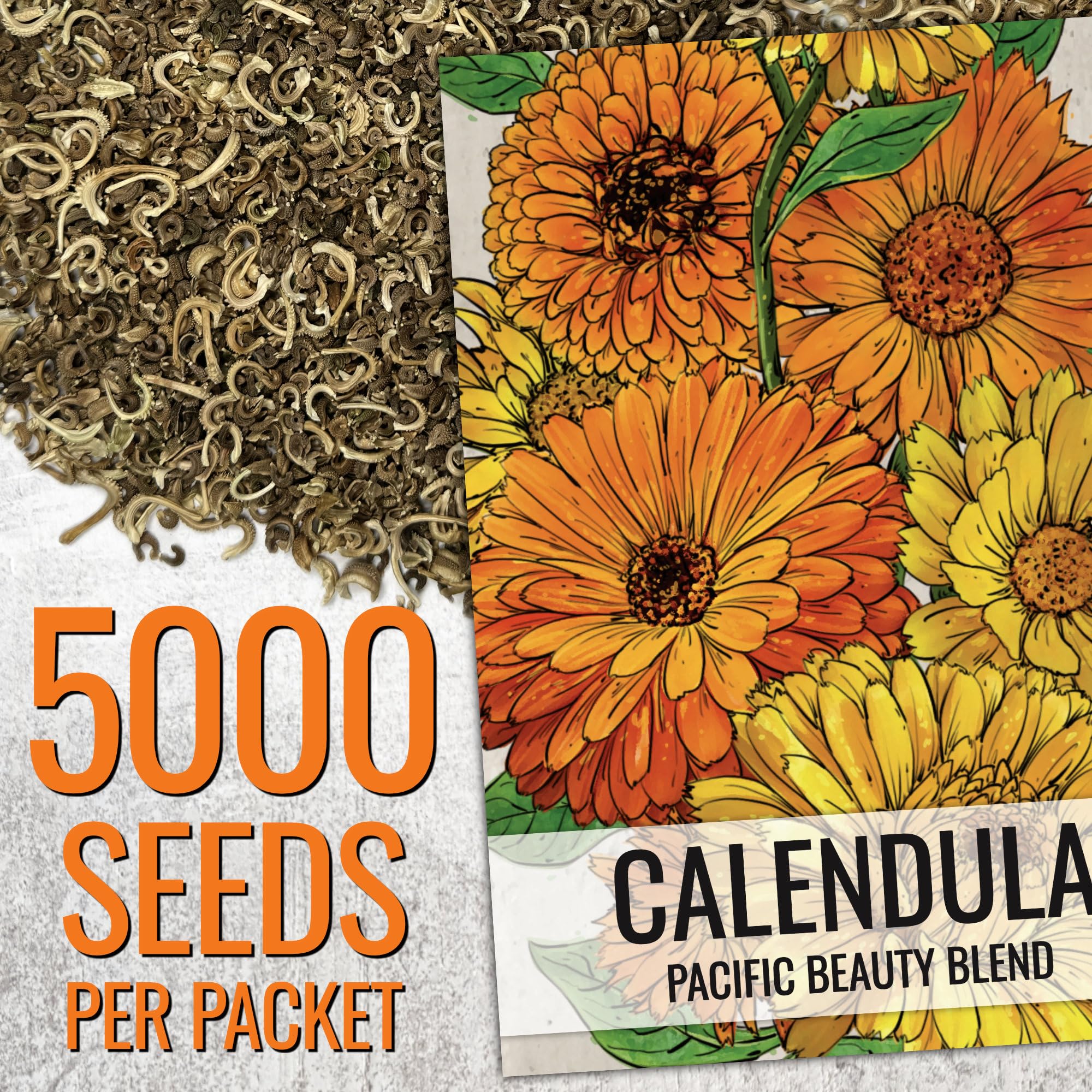 Seed Needs Pacific Beauty Mix border bed ready for planting and lasting color.