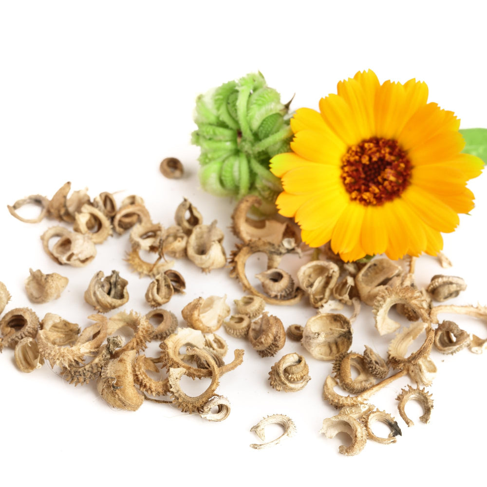 Seed Needs Pacific Beauty Mix packaging keeps seeds fresh and dry.