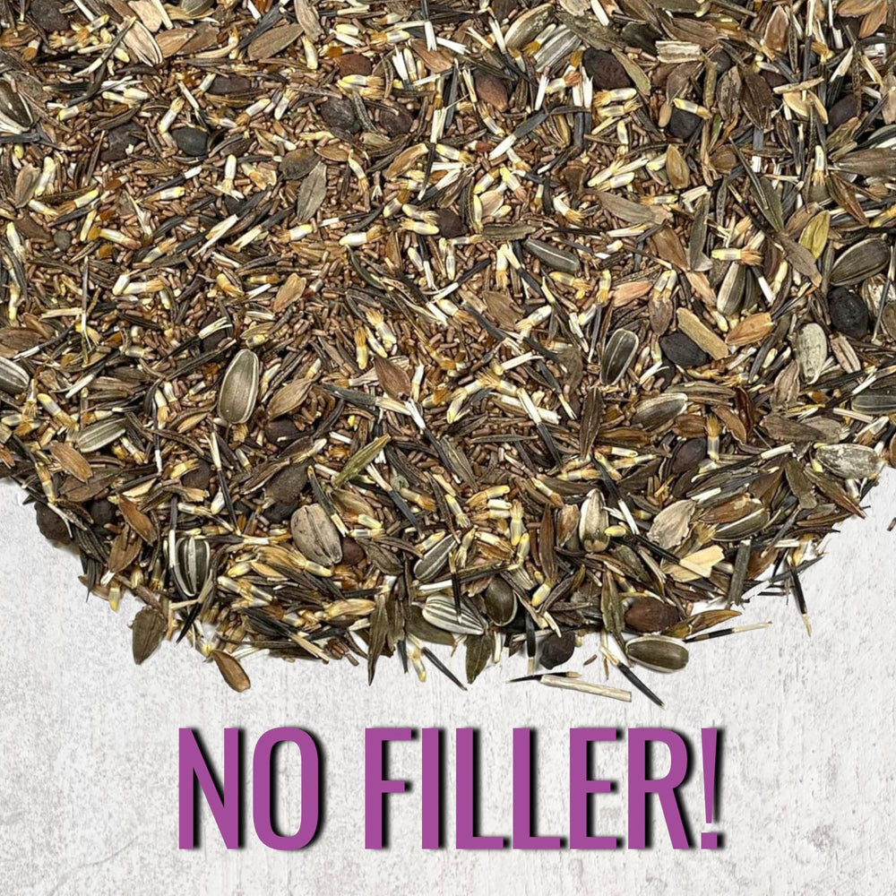 Seed Needs sowing guide back shows clear instructions for planting success
