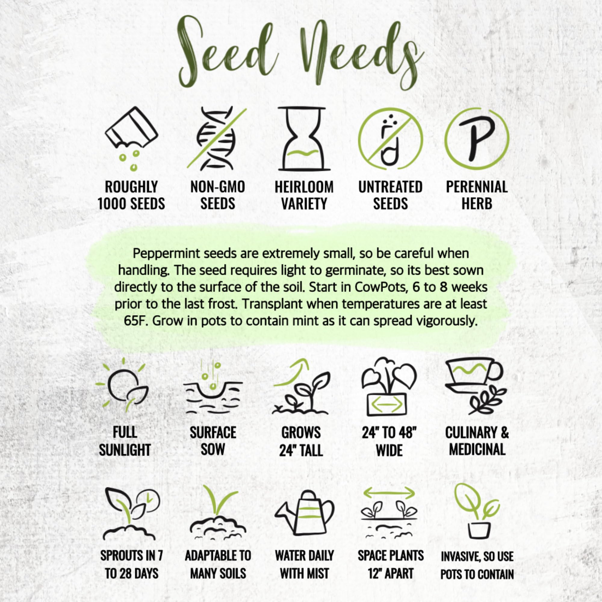 Seed Needs peppermint two-pack packaging offers great value