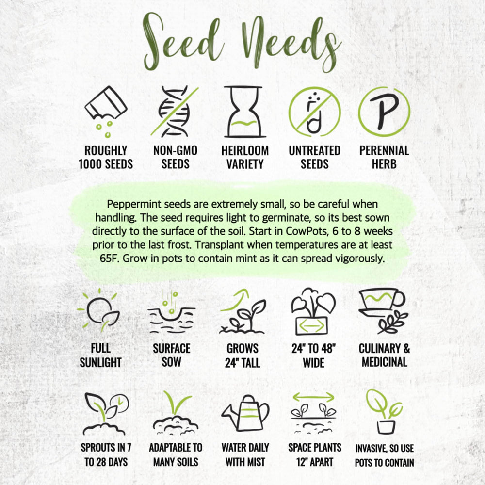 Seed Needs peppermint two-pack packaging offers great value