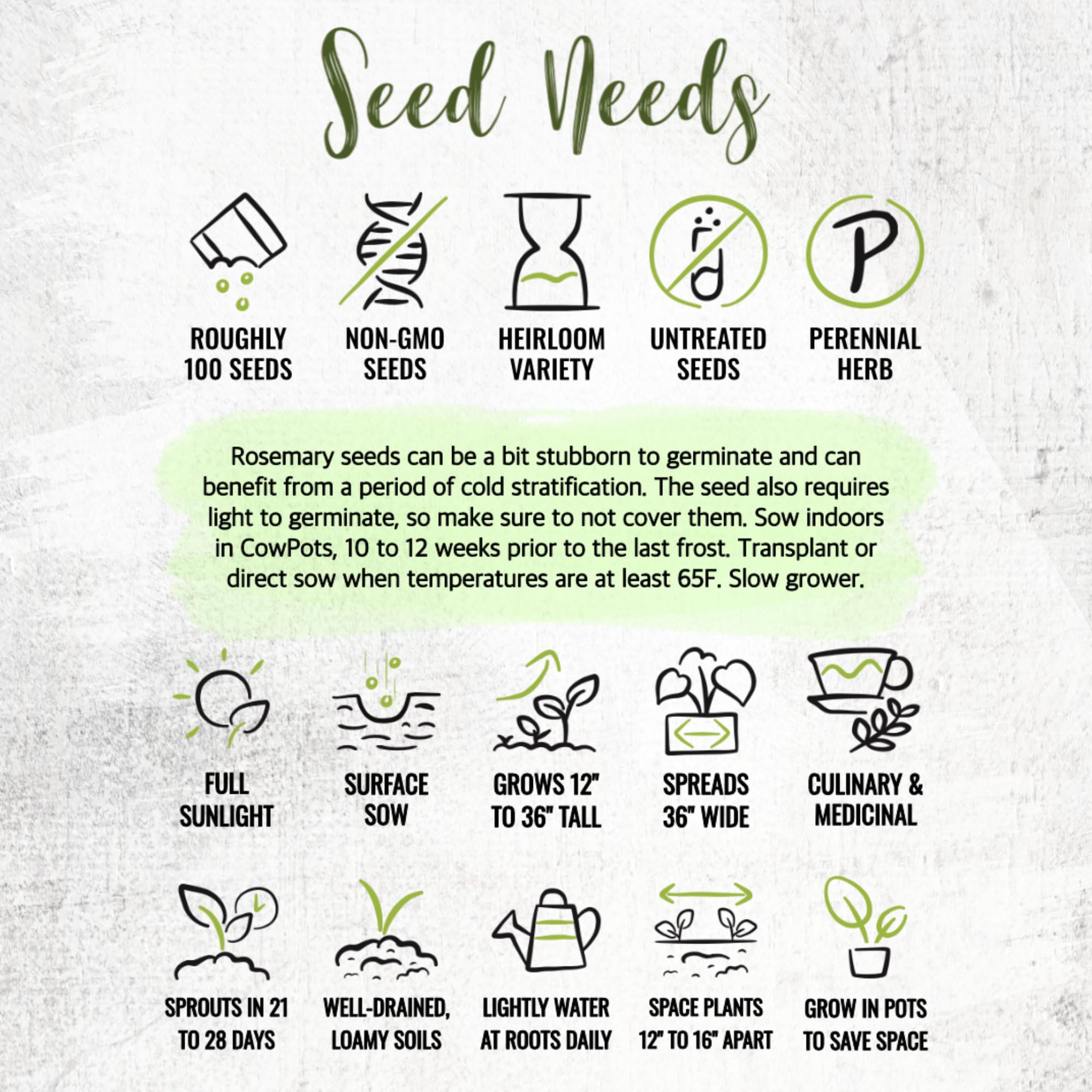 Seed Needs rosemary seeds in moisture-resistant packaging preserves freshness