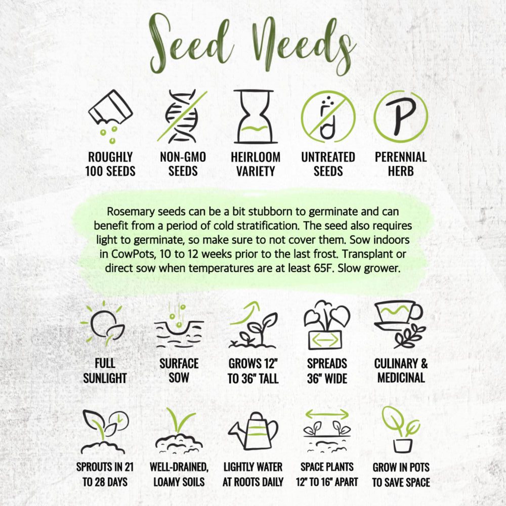 Seed Needs rosemary seeds in moisture-resistant packaging preserves freshness