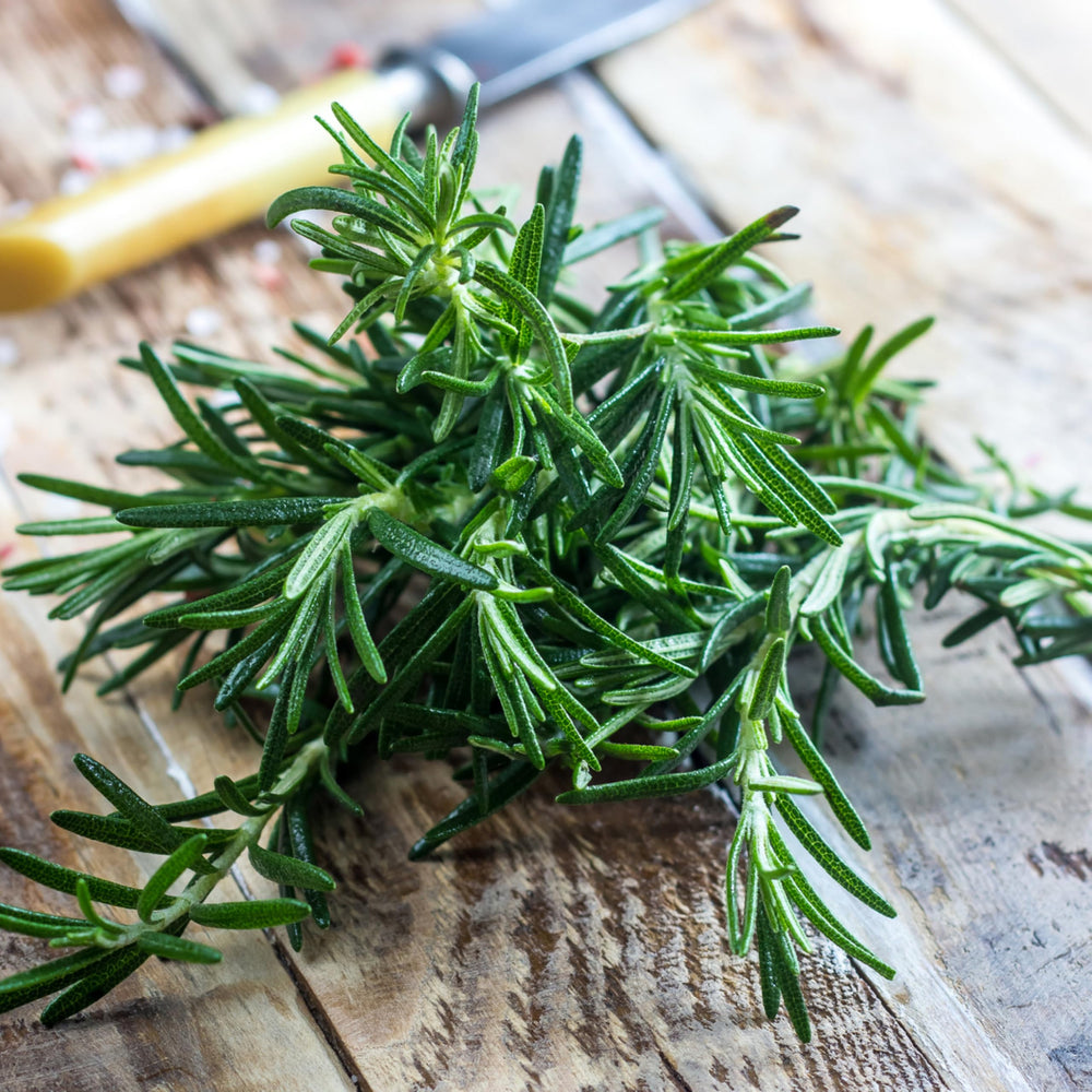 Seed Needs rosemary seeds packaging art detail and sowing instructions