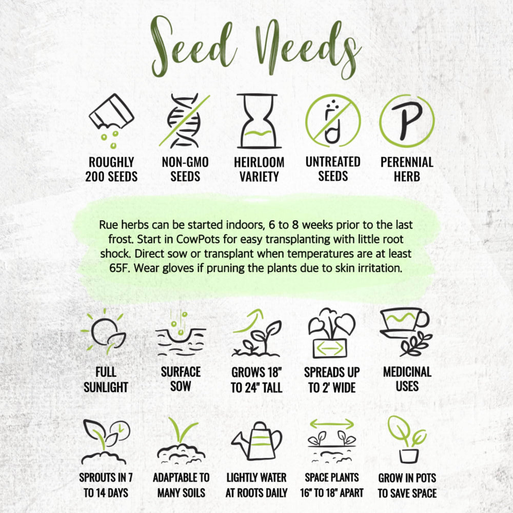 Seed Needs Rue packet illustration—artful design with sowing details
