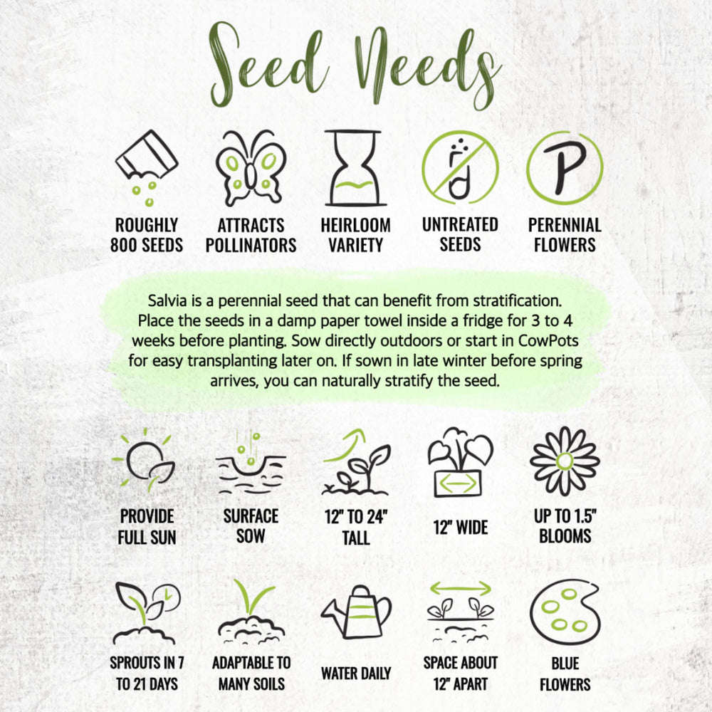 Fresh, moisture-resistant Seed Needs packaging preserves seed viability.