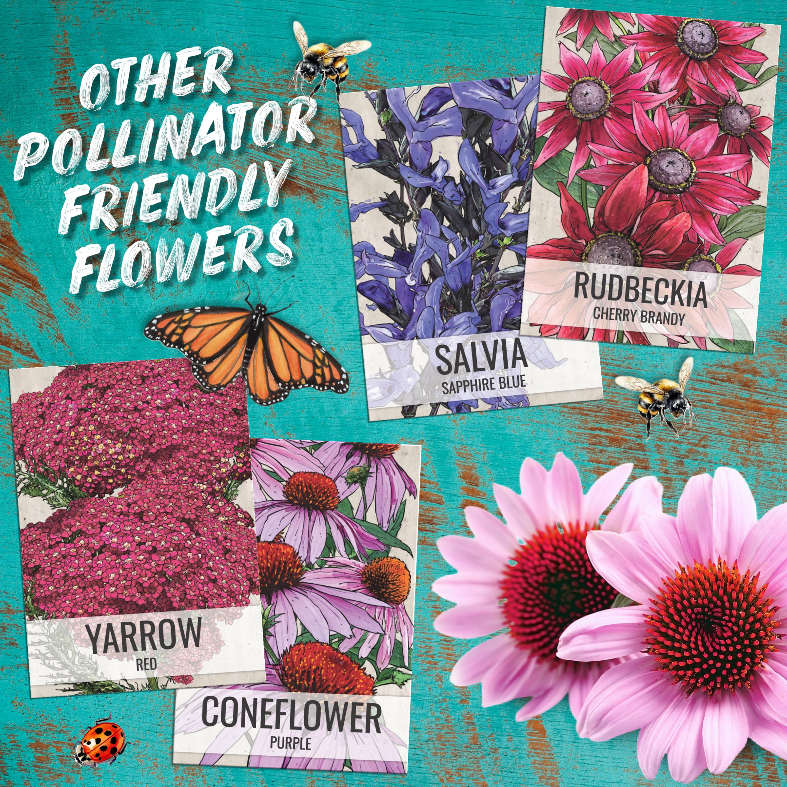 Seed Needs Scarlet Red Sage 800 seed pack supports multiple seasons