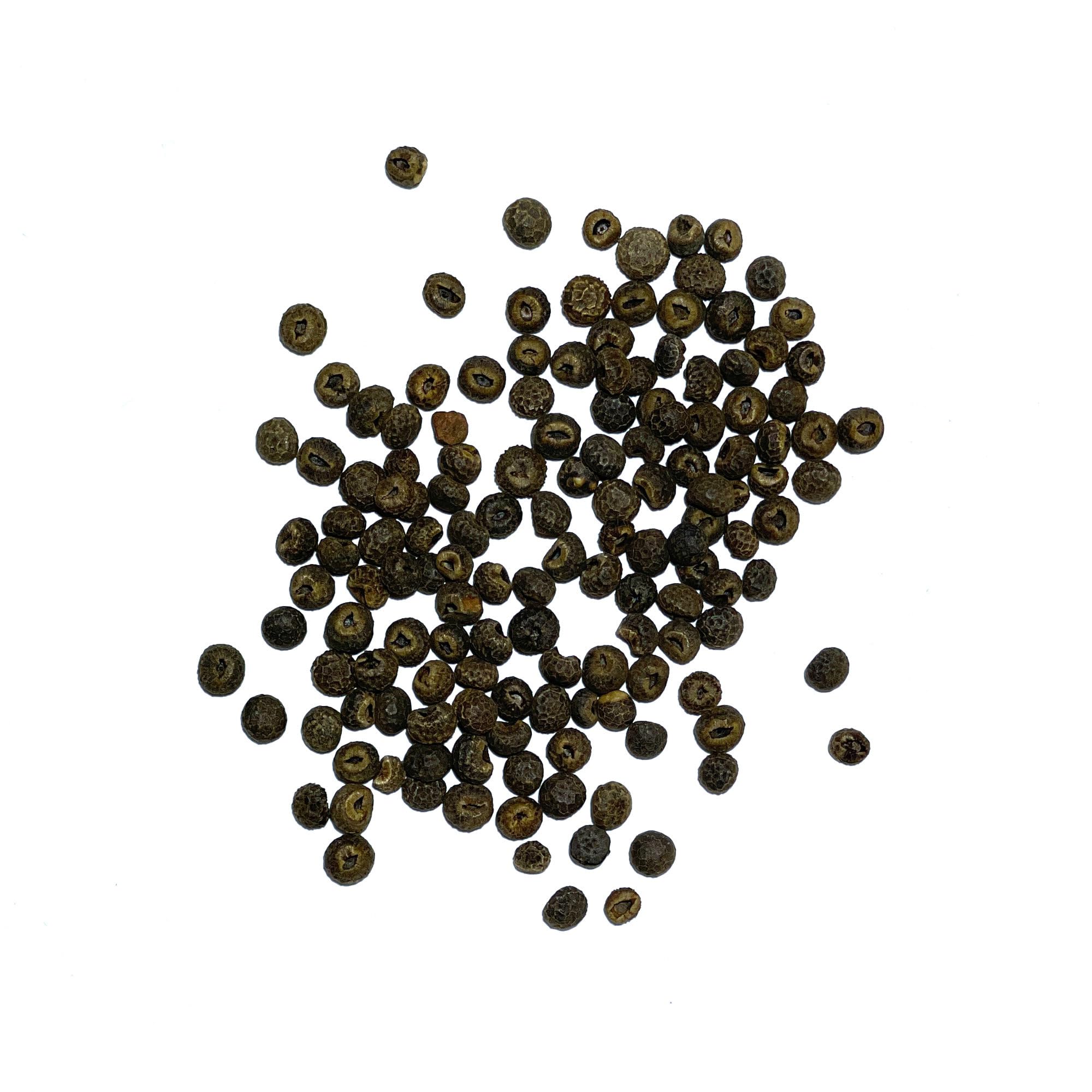 Seed Needs Freshly packaged seeds ready for direct sowing and reliable germination