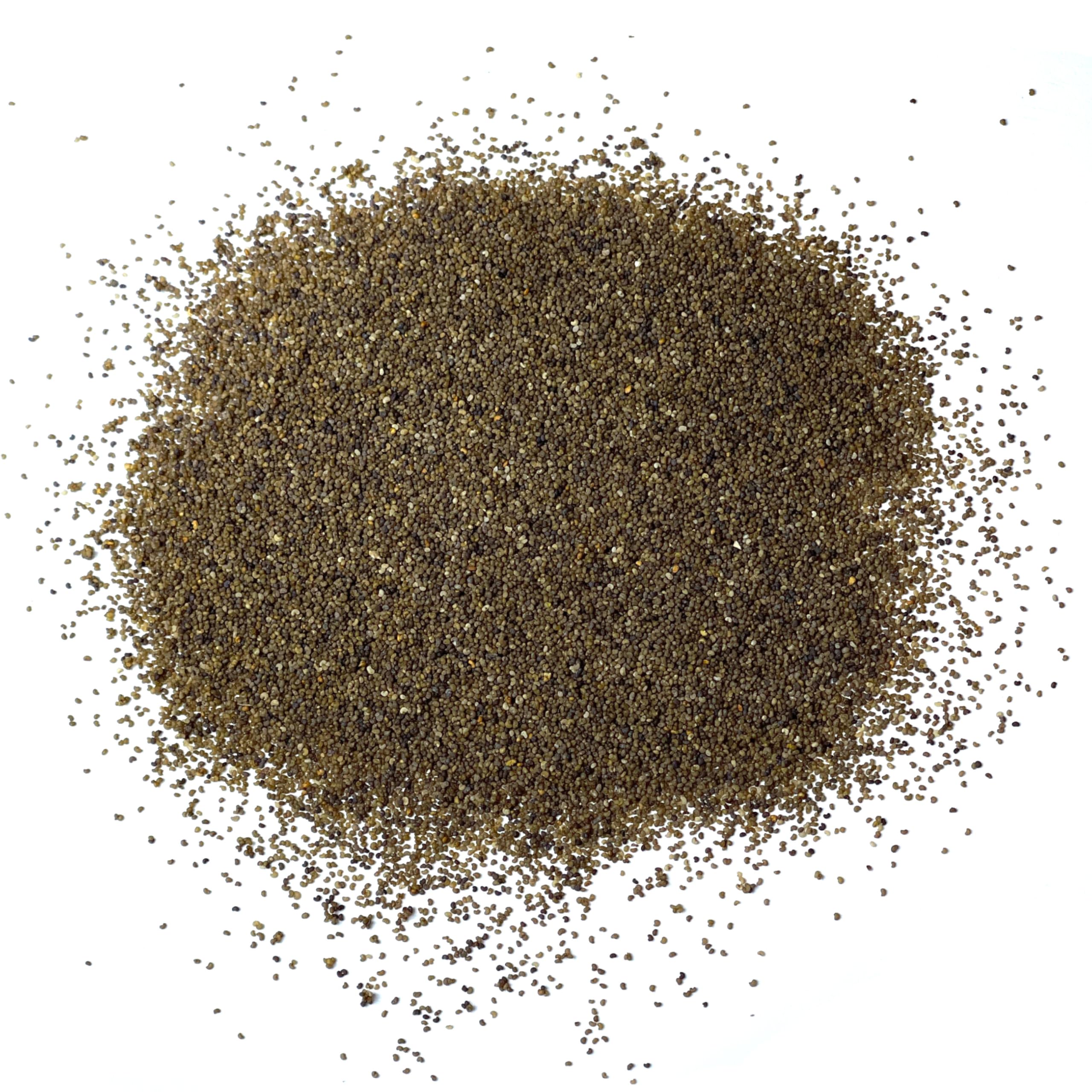 Seed Needs Shirley Mixed Poppy Seeds plant height of 2 to 3 feet in garden