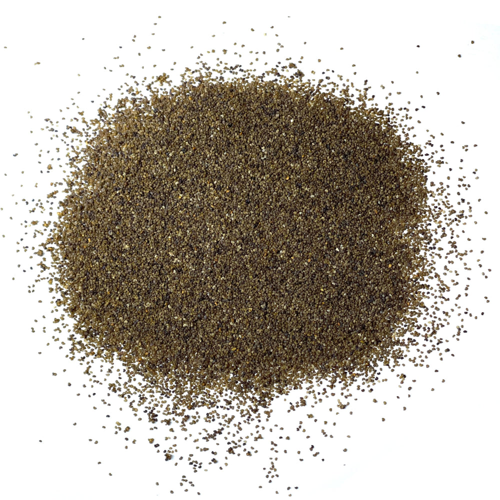 Seed Needs Shirley Mixed Poppy Seeds plant height of 2 to 3 feet in garden