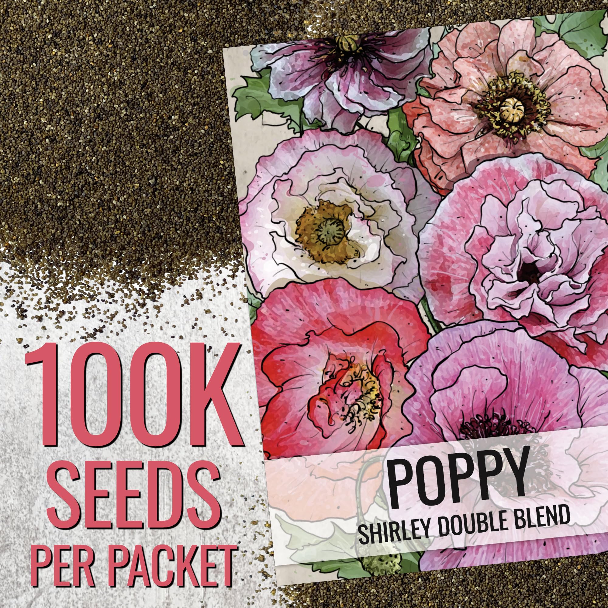 Seed Needs Shirley Mixed Poppy Seeds color spectrum ready for garden beds