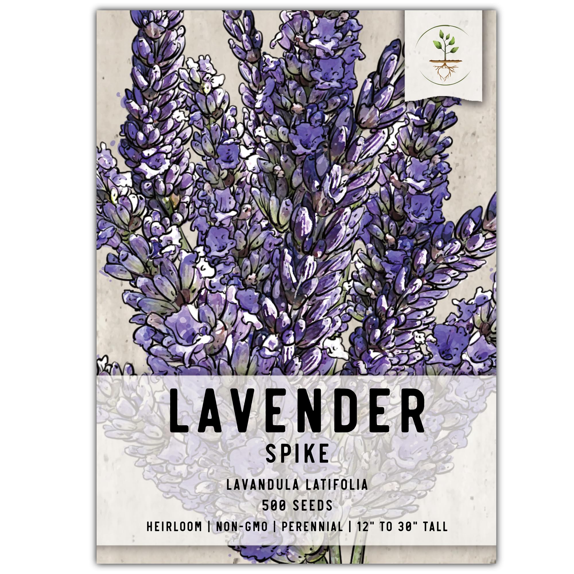 Seed Needs Spike Lavender seeds in a packet ready for easy home planting