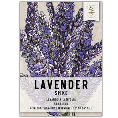 Seed Needs Spike Lavender seeds in a packet ready for easy home planting