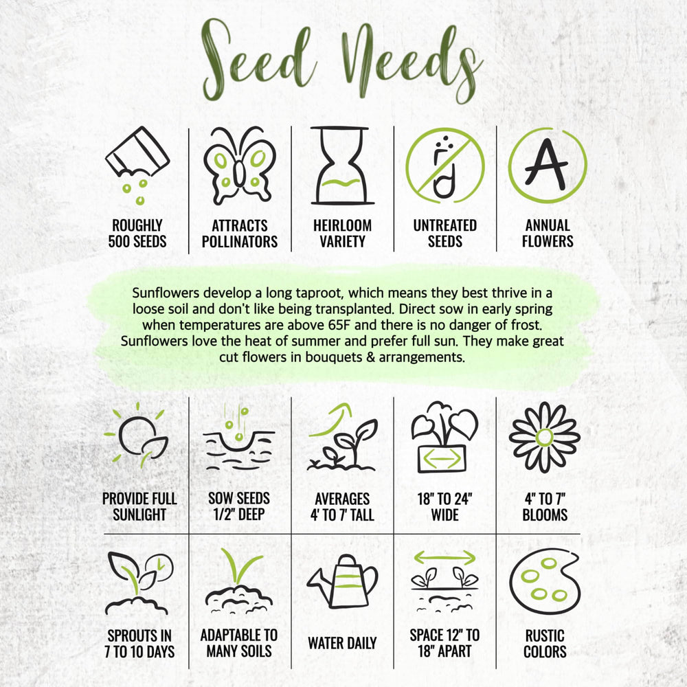 Seed Needs Sunset Blend packaging preserves freshness for reliable sowing.