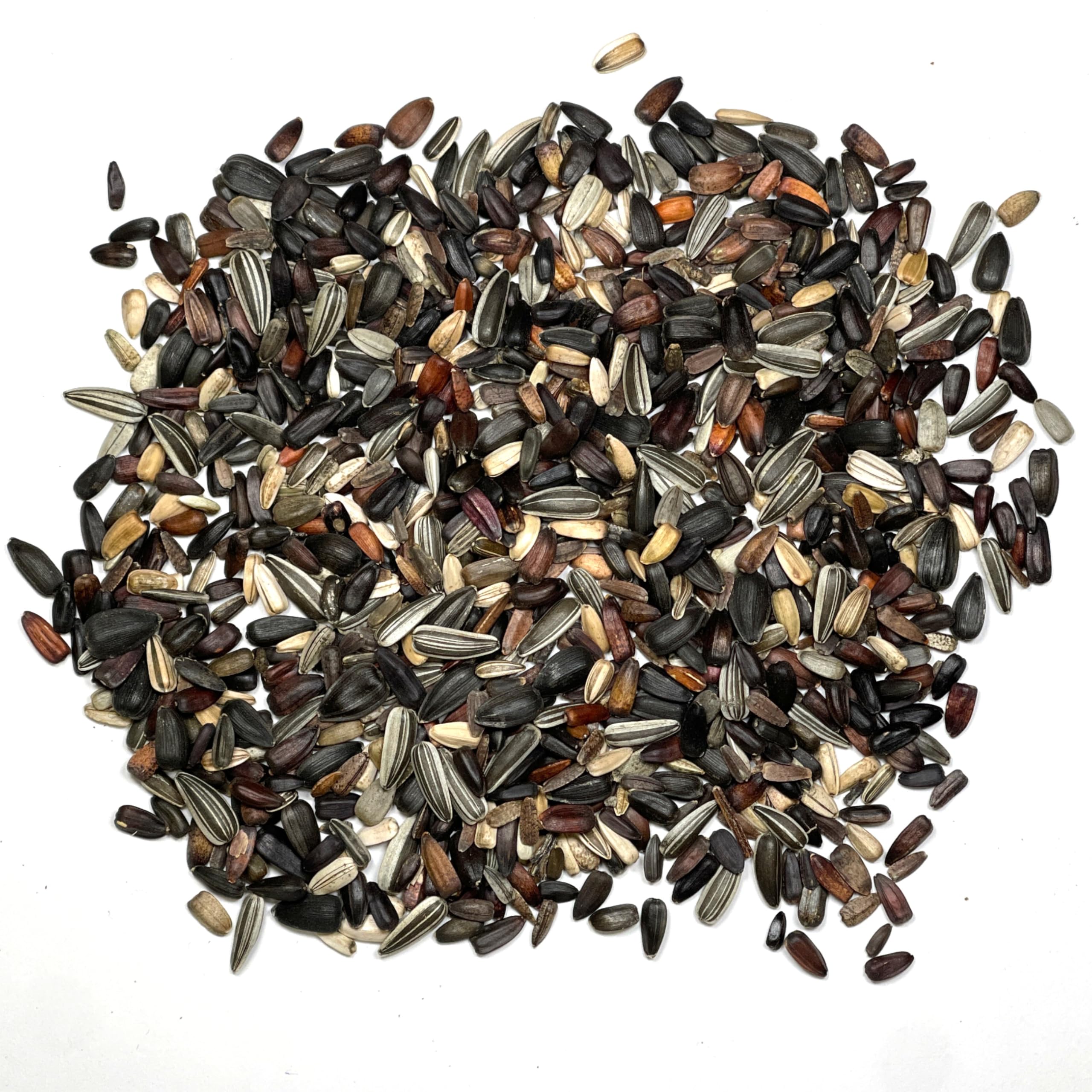 Seed Needs Sunset Blend Lemon Queen adds bright yellow blooms to borders.