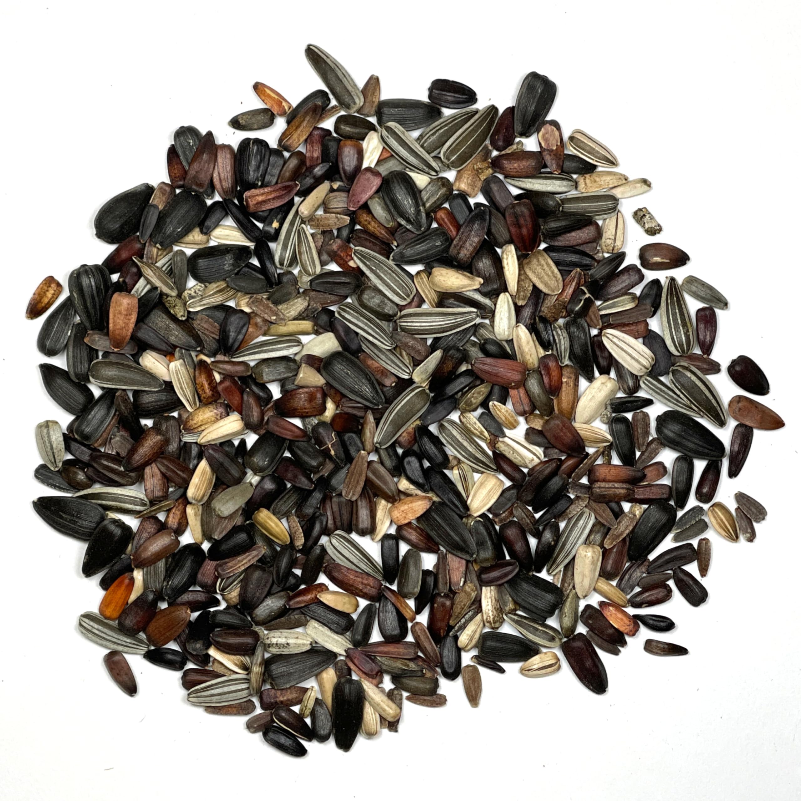 Seed Needs Sunset Blend Velvet Queen features deep hues for dramatic bouquets