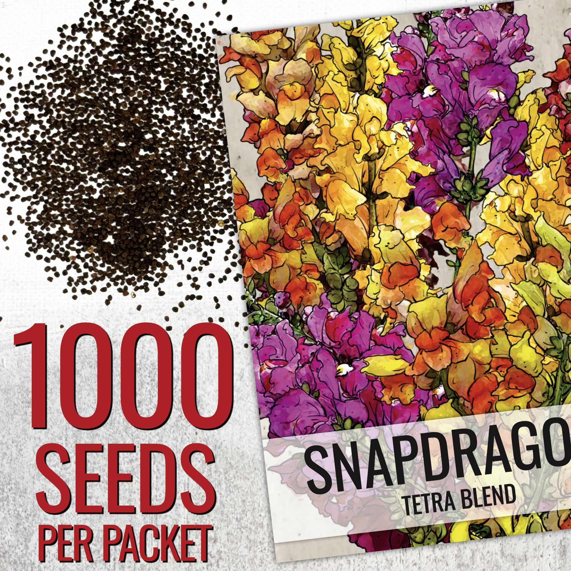 Seed Needs Tetra Snapdragon flowers in a garden bed with tall, ruffled blooms.