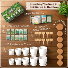 Seedboy coco coir discs support healthy seedling growth