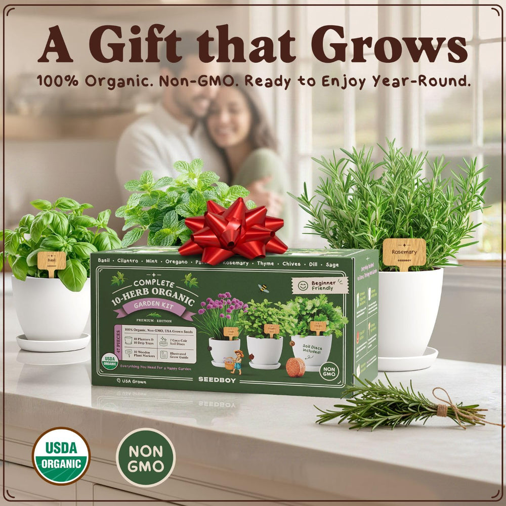 Seedboy gift packaging emphasizes a thoughtful, grow-with-you experience