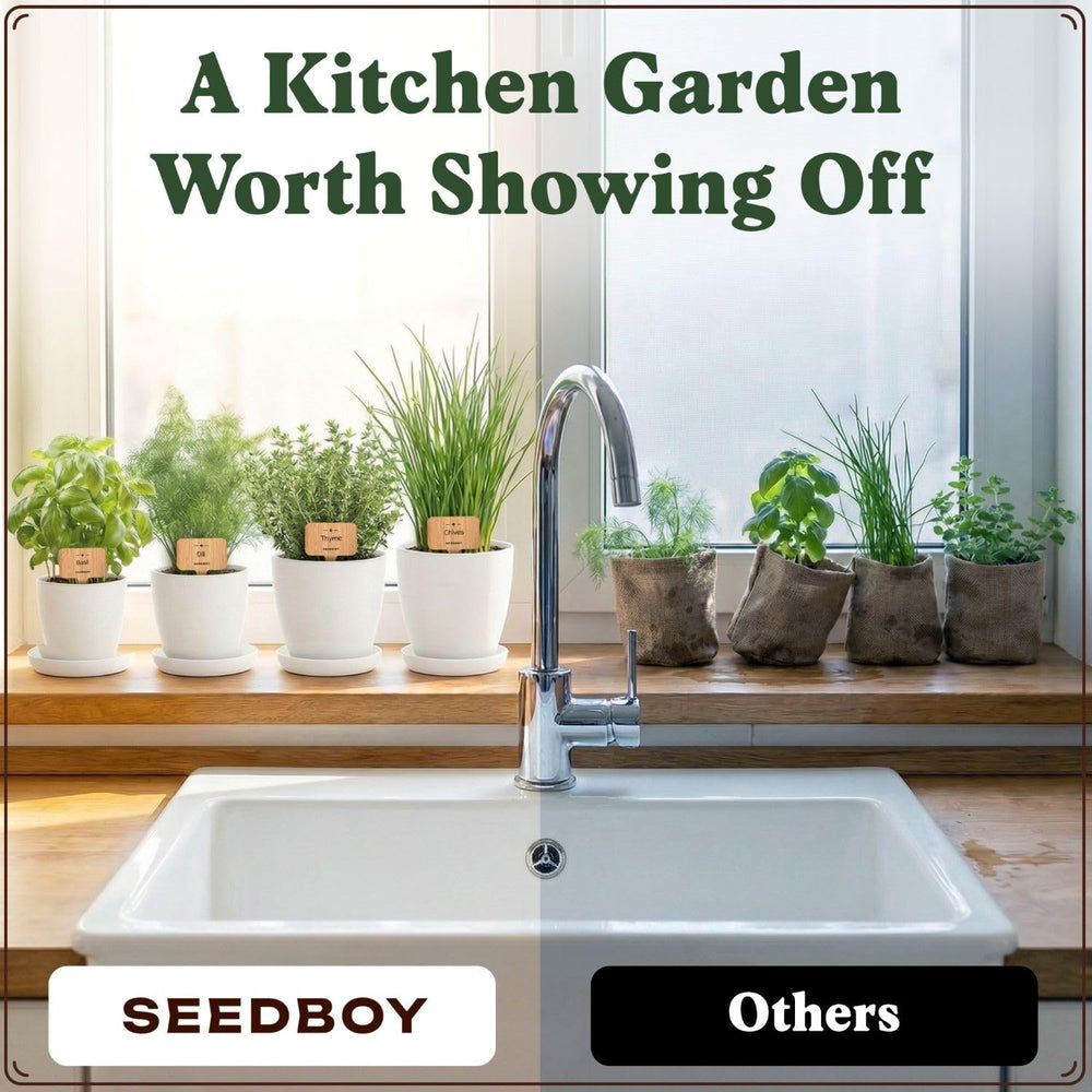 Seedboy indoor window sill setup for compact home gardening