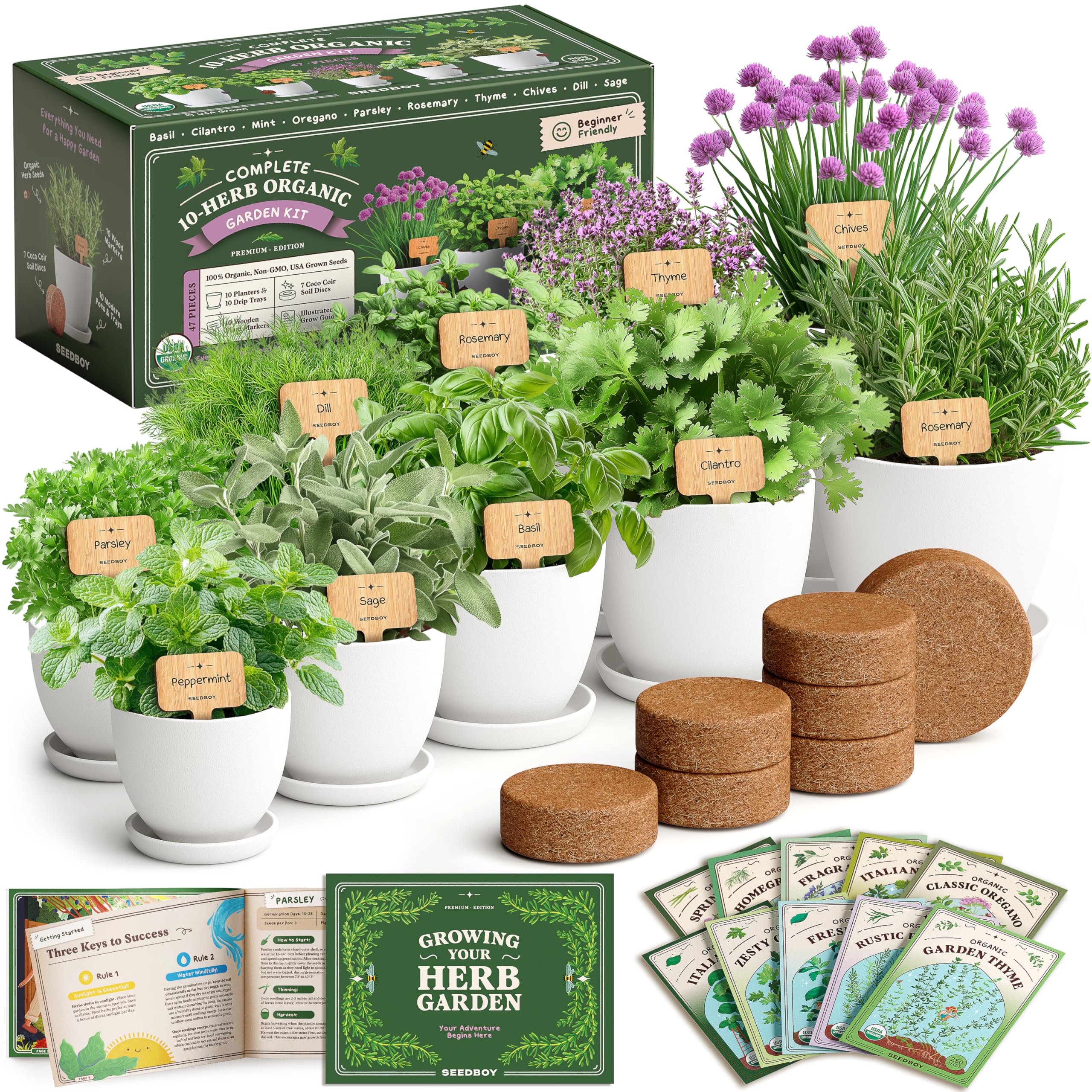 Seedboy 10-herb starter kit planters and pots for fresh, home-grown herbs