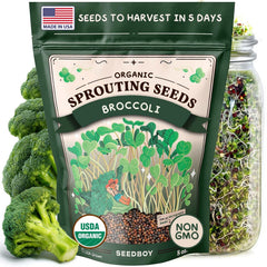 Seedboy broccoli sprouting seeds 8oz bag, ideal for quick home sprouts.