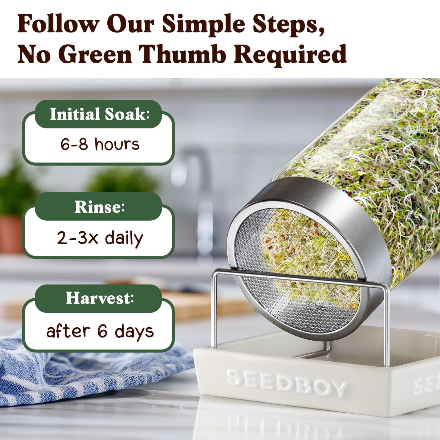 Seedboy service a bowl of sprouts, perfect for quick meals.
