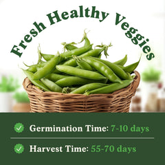 Seedboy Sugar Snap Peas seeds 55-count ready for indoor or outdoor harvest.