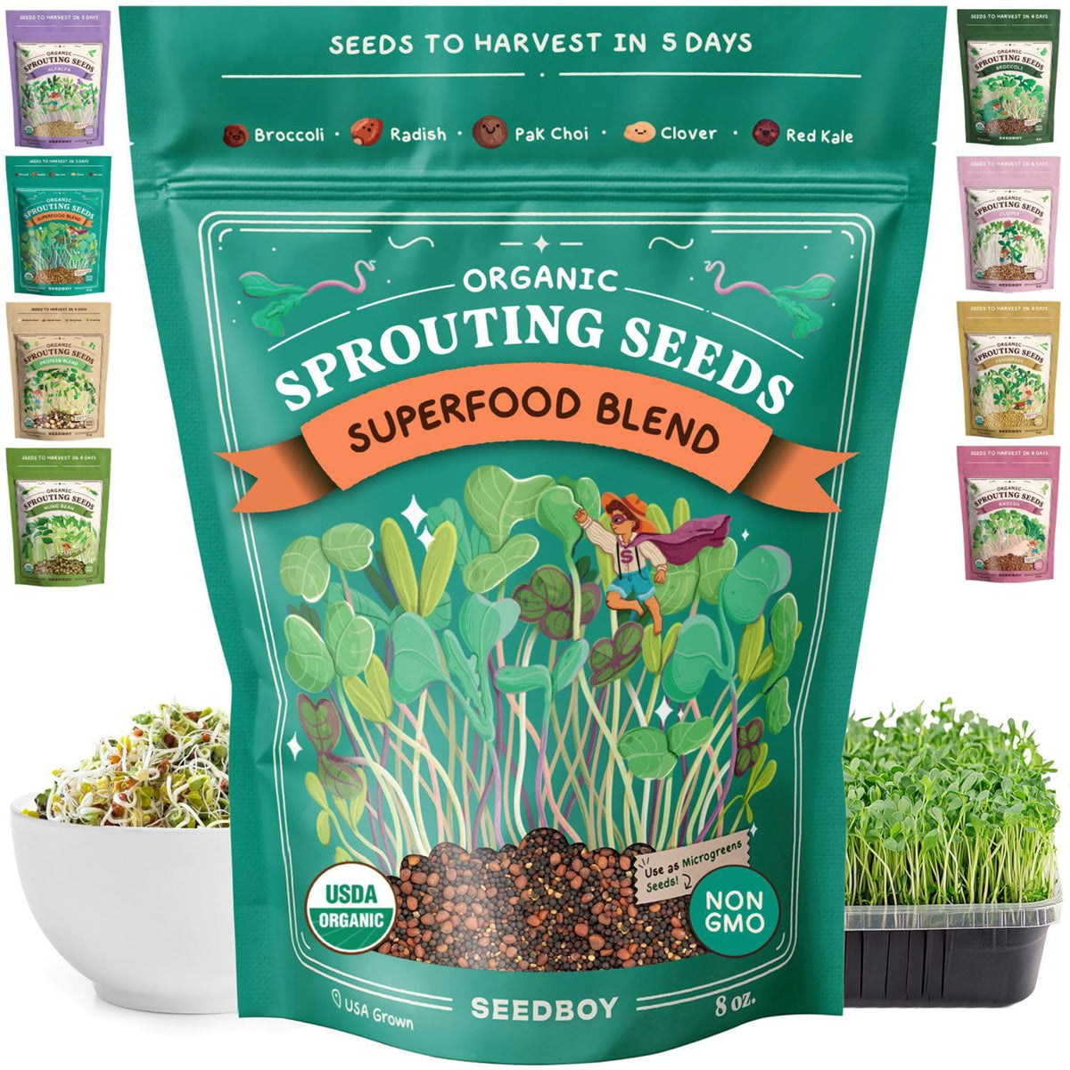 Seedboy superfood blend broccoli seeds for quick home microgreens.