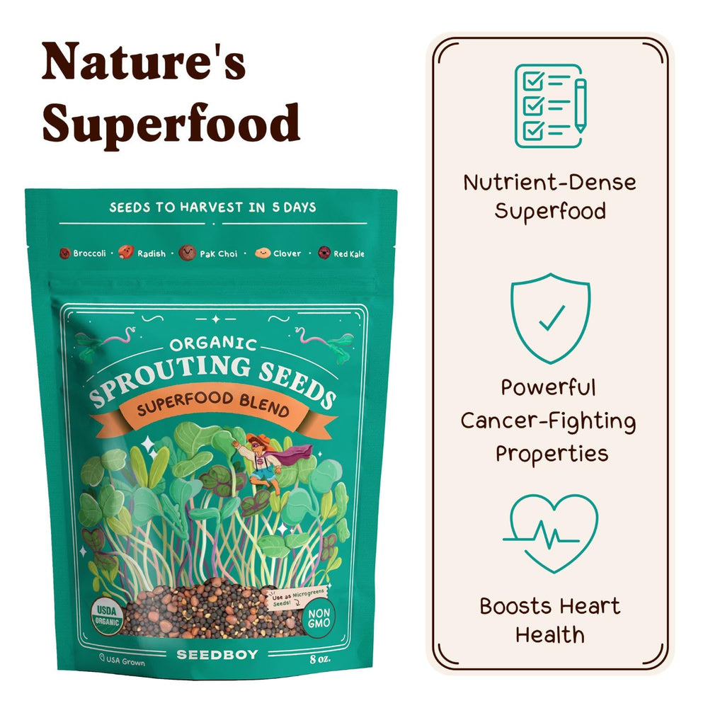 Seedboy superfood blend clover seeds produce sweet, crunchy microgreens.
