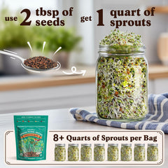 Seedboy superfood blend radish seeds for peppery microgreens in days.
