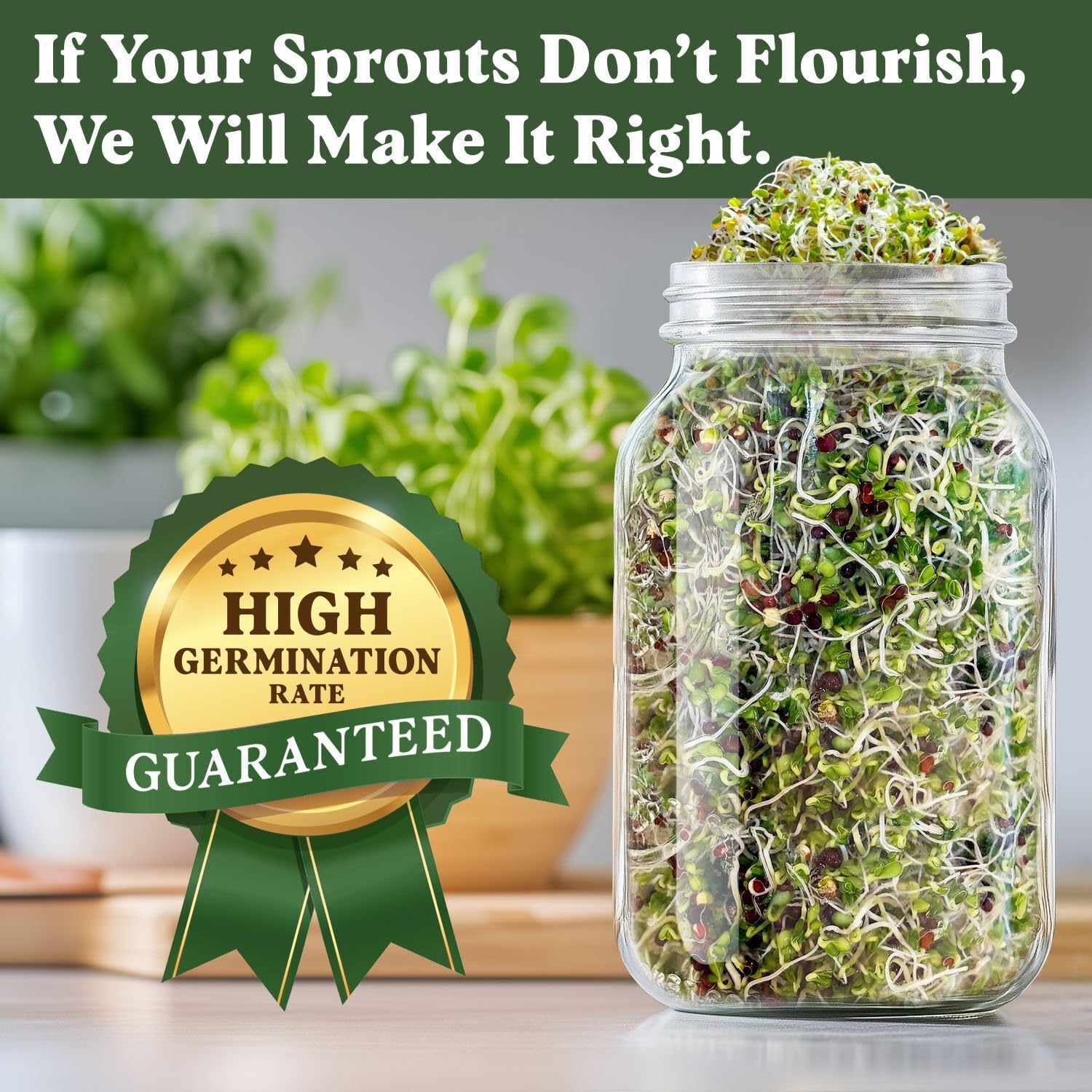 Seedboy USA-grown sprouting seeds ready for fresh greens at home.