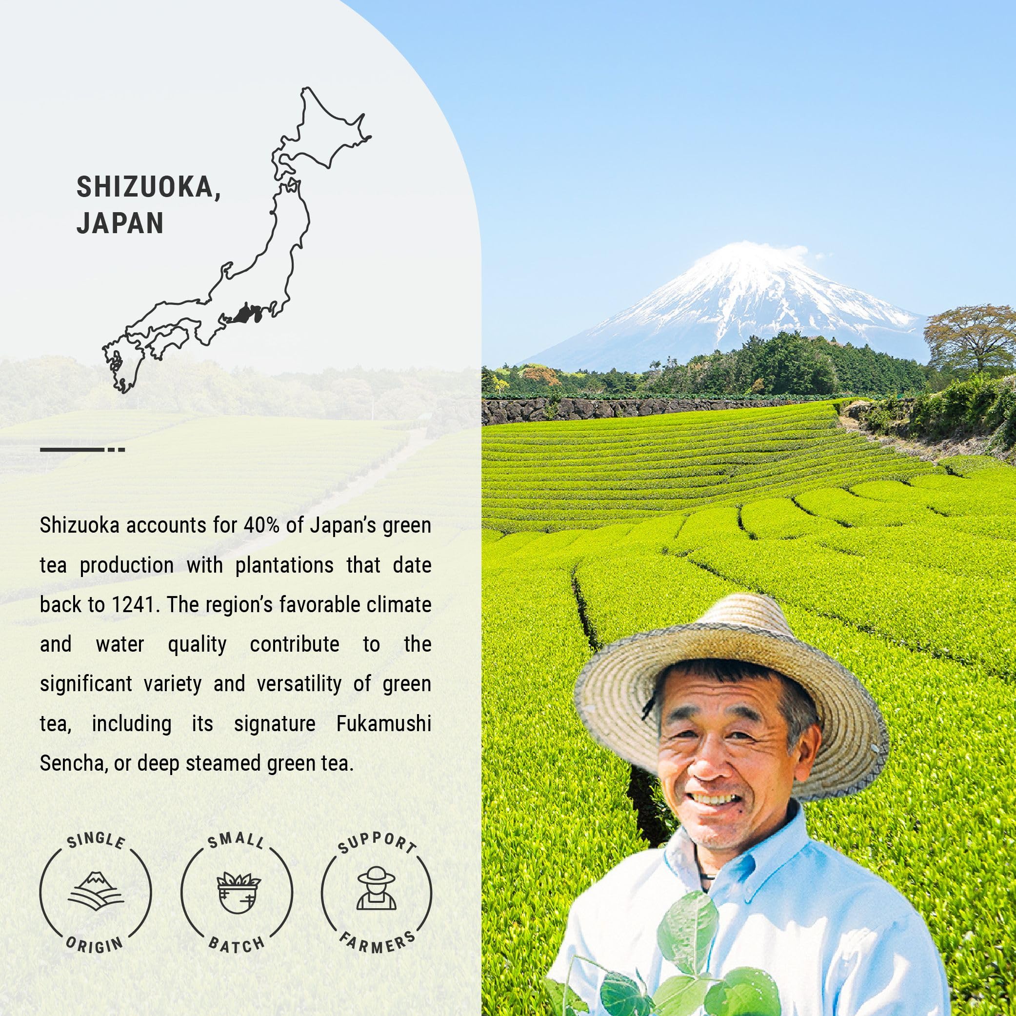Senbird Premium Sencha leaves from first pick highlighting deep flavor potential