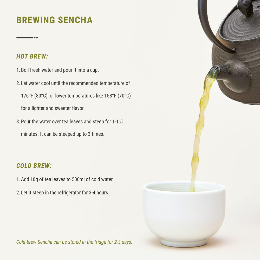 Senbird Premium Sencha iced in glass shows refreshing color