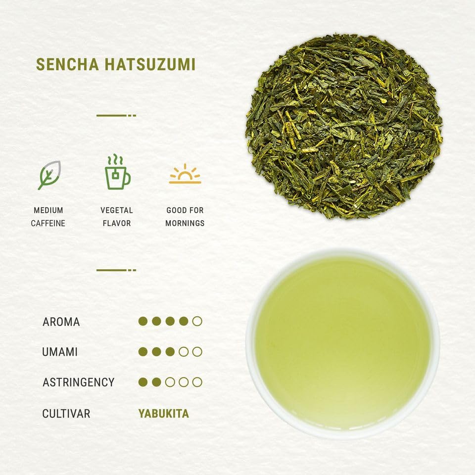 Senbird Premium Sencha in airtight tin preserving freshness for daily sipping