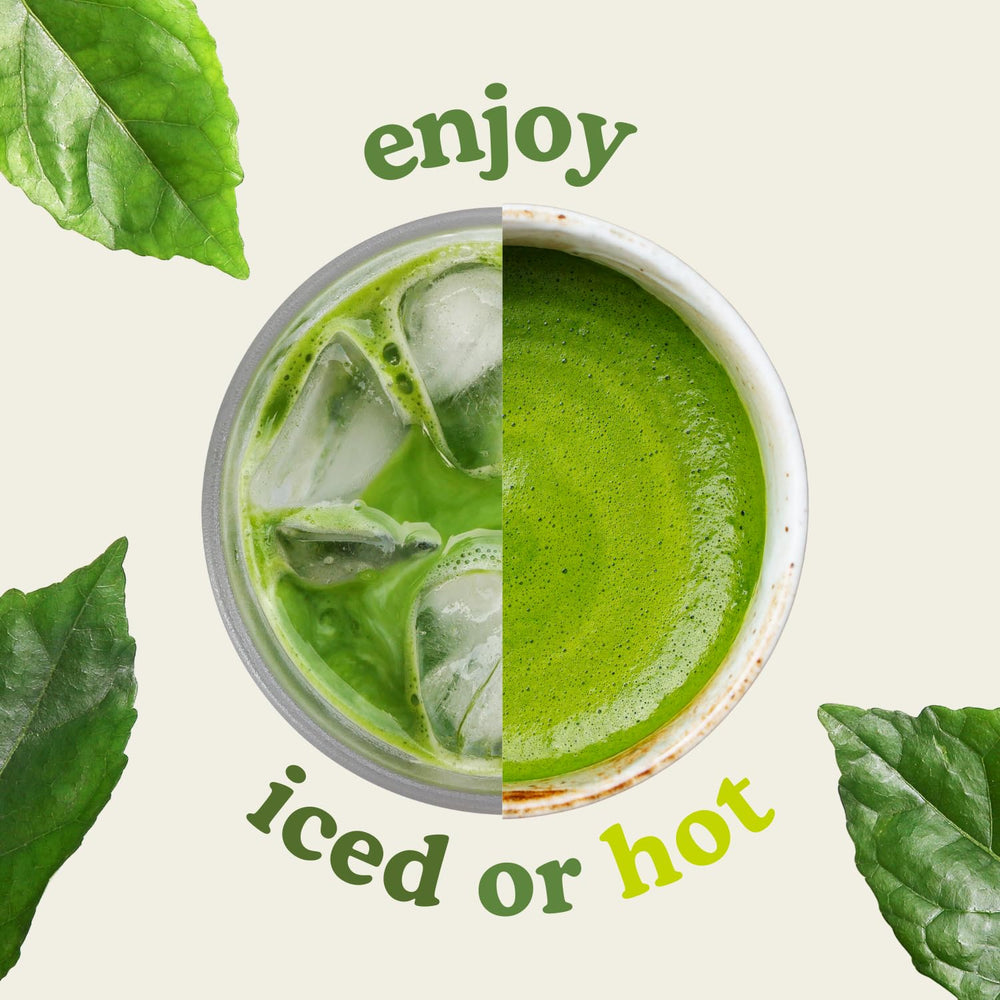 Sencha Naturals 2nd harvest blend in cup balanced flavor