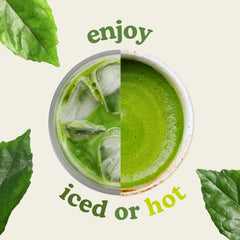 Sencha Naturals 2nd harvest blend in cup balanced flavor