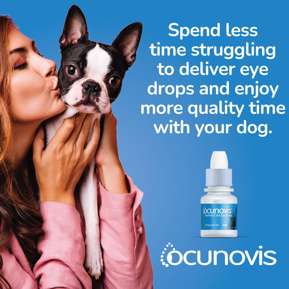 Dog eye application scene using Sentrx Ocunovis gel
