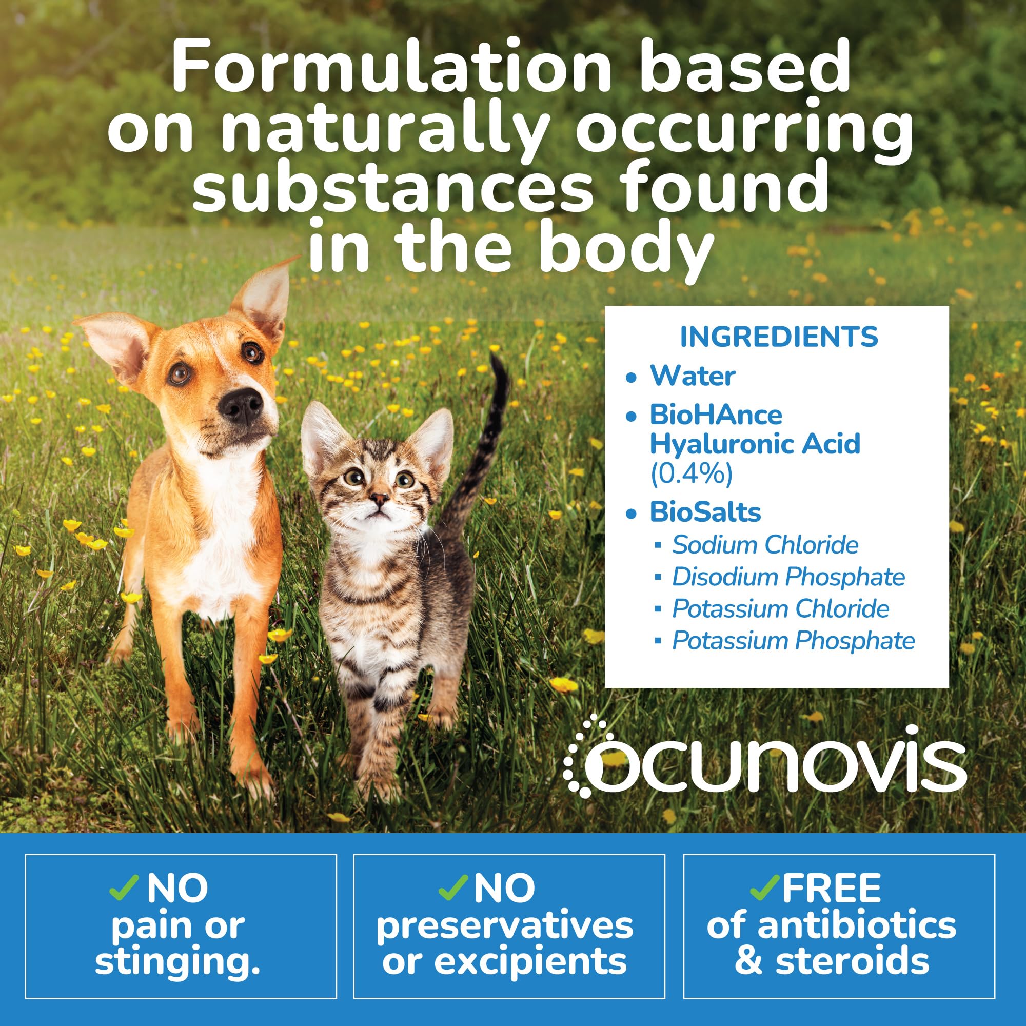 Dry eye benefits graphic for pets in home environment